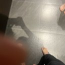 스테이더담 매전점 이미지