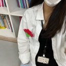 행정용 9 | 월간다돌 (청년행정체험 후기)