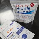 발효 쉽고 맛도 좋았던 하나마이 카스피해 유산균 후기