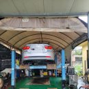 뉴인제카 이미지