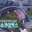 [KBO] 으랏차차 활력충전 프로야구 포스트시즌을 즐겨라! 야구장 꿀팁 대방출 이미지