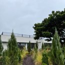 제주 모먼트 이미지