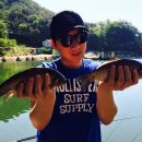 의평낚시터 이미지