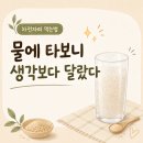 장 컨디션이 들쭉날쭉해서 먹어본 대웅생명과학 차전자피 후기