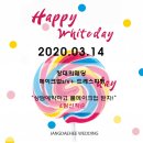 GCC웨딩 | 금산GCC 컨벤션웨딩홀 드레스도 완벽해야죠