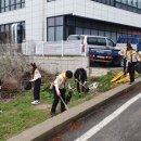 태강삼육 이미지