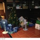 분당-379 이미지