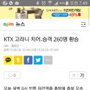 KTX 고라니치어 운행중단 사고 이미지