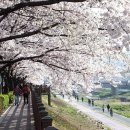 하얀꽃어린이공원 이미지