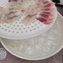 삼천포회타운 이미지
