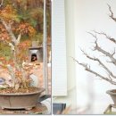 소사3로 이미지