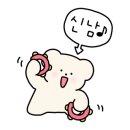 화이트래빗 풀빌라 이미지