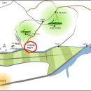 비석농장 이미지