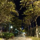 아시아파크 이미지