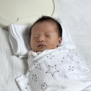 아기 손톱깍이 추천 | 베이비클라우드 2in1 네일트리머