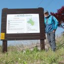 한반도면사무소 이미지