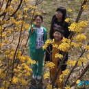 와보랑께 박물관 이미지