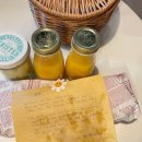 온리앳오운리 이미지