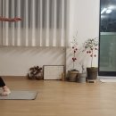 몸숨맘요가원 | 5년동안 다닌 요가원들