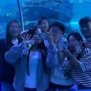 윤정축산 이미지