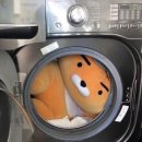 핍핍 이미지