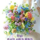 동그마니 이미지