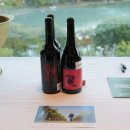 PHOTO SLATE | [와인] 헝가리와인 BOR 2025 | Wines of Hungary × 소피텔 앰배서더 서울 | 와인행사