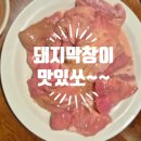 HOTEL마루 | 🥩[마루막창] 솔직후기｜ 👉블루리본 맛집 핫플대구 [혜이의 맛집]