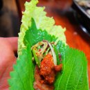 태백산오는길 이미지