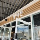 카페루틴 | 세종 어진동 로스터리 카페 추천 커피 맛집 에피루틴 방문 후기