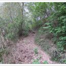 단천마을회관 이미지