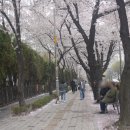 구월남로 이미지