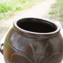 매실장아찌아삭하게만드는법..끝내줘요!!후기