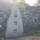 금산수삼센타 Daum카페