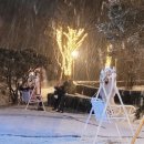 금산만악리수목원 오토캠핑장 이미지