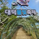 행정사 사무소 고래 네이버블로그
