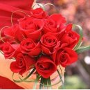 행복가득 이미지