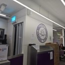 더벤티신월