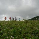 구름이 머무는 곳2 이미지