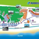 망상리조트 자동차캠핑장 이미지