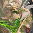 소백산마을식당