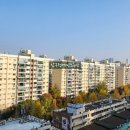 압구정-119 이미지