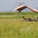 와룡체육공원 이미지