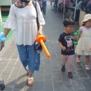 꼬꼬퀸즈 이미지