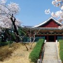 아라커피 이미지