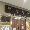 백설침향