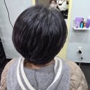 가족헤어커트 | 혜화동 가성비 미용실 지노헤어 성균관대점 헤어 커트 후기