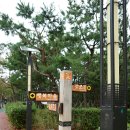 갈맷길 5코스 5-2구간 이미지