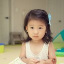 복실이 PC 이미지