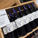 마실퀼트 | 코스트코 양재 환불 후기_7월 할인상품 및 신상 리뷰